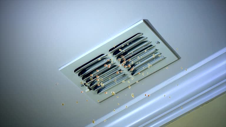Best Affordable Air Duct Cleaning  in Mount Arlington, NJ